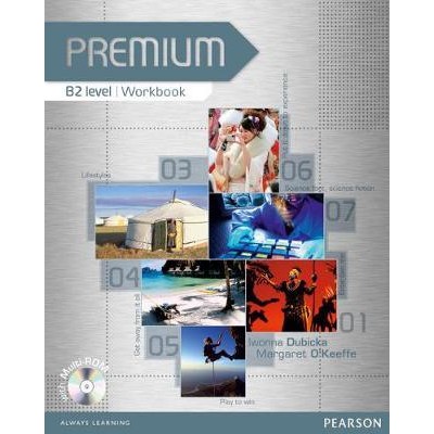 PREMIUM B2 WB (+ MULTI-ROM)